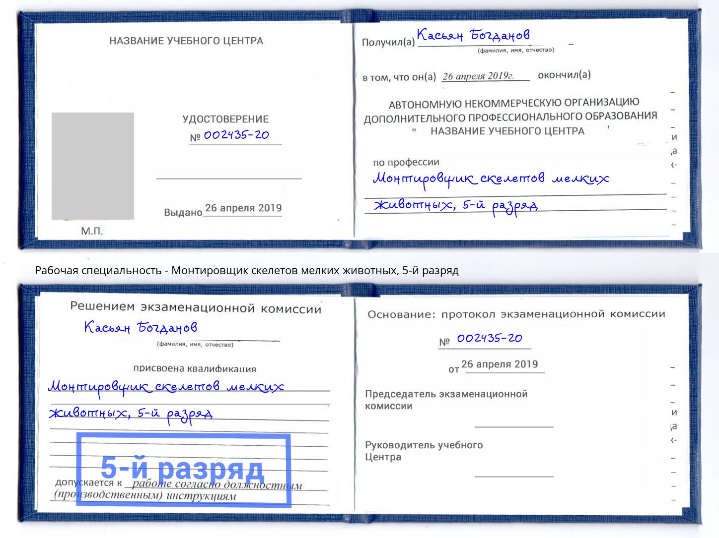 корочка 5-й разряд Монтировщик скелетов мелких животных Прохладный